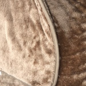 画像3: 福島の猫たちへ100円支援 (3)